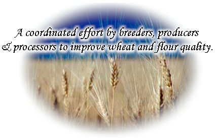 Wheat Quality Council - A coordinated effort by breeders, producers & processors to improve wheat & flour quality.